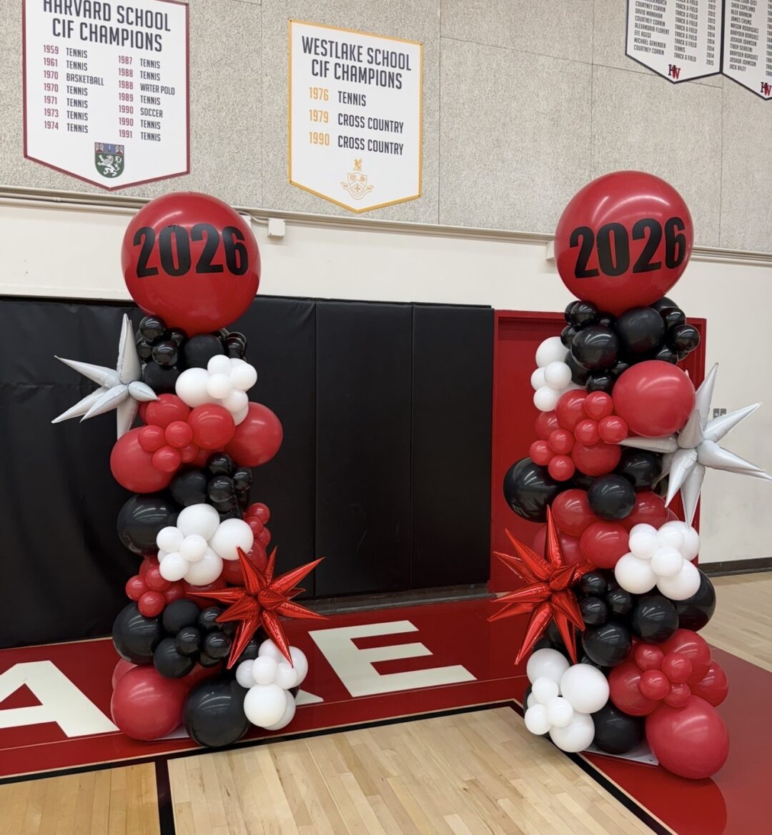 2 Organic Balloon columns for Corporate events, Grand opening*