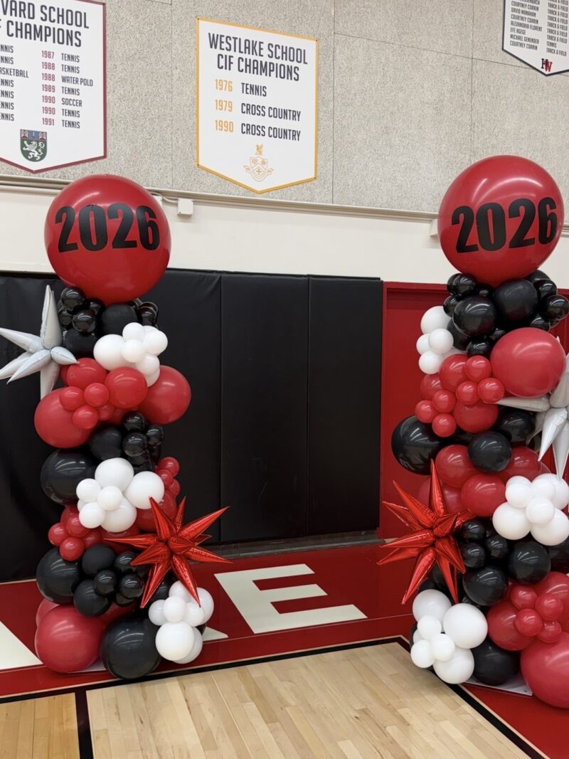 2 Organic Balloon columns for Corporate events, Grand opening*